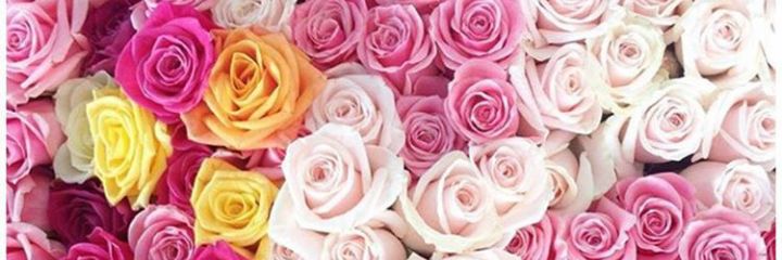 Maath_Hilde's profile banner image