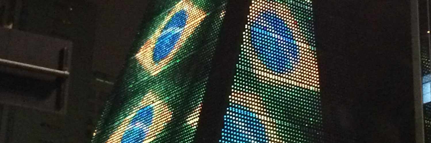 mapterra's profile banner image
