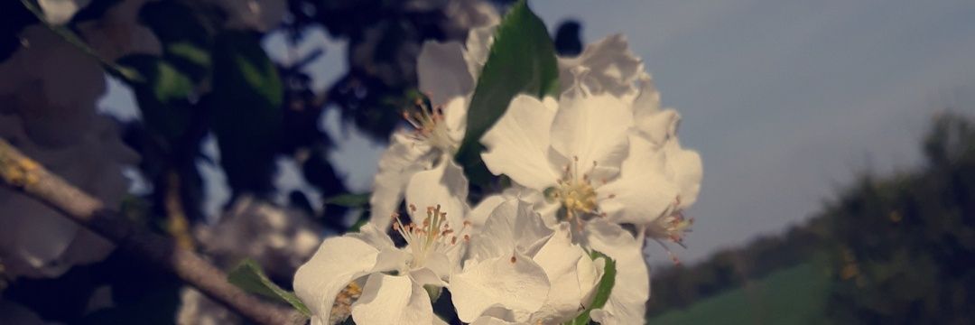 Emeline_61's profile banner image