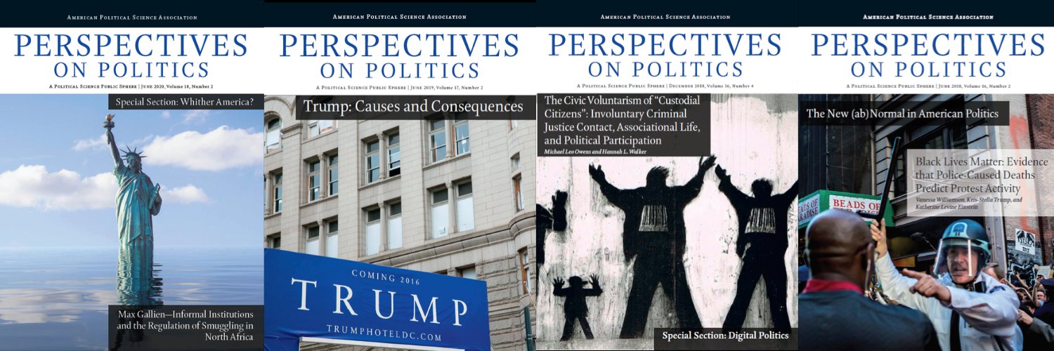 Perspectives on Politics's banner