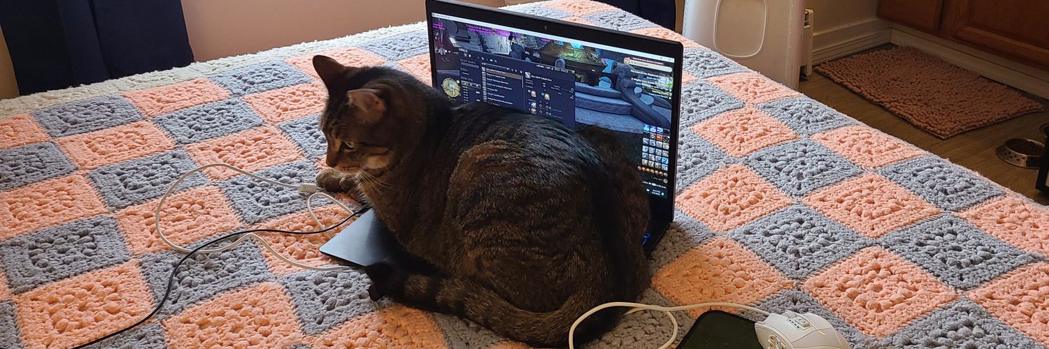 hailey lemonadez 🍋 banner