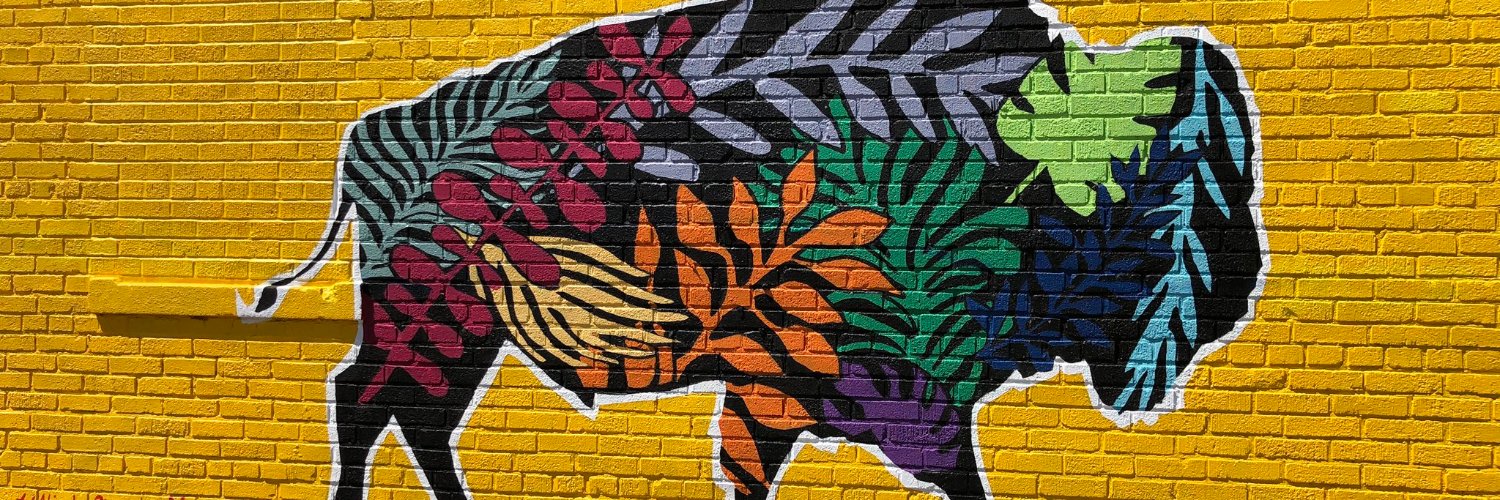 snapcraft's profile banner image