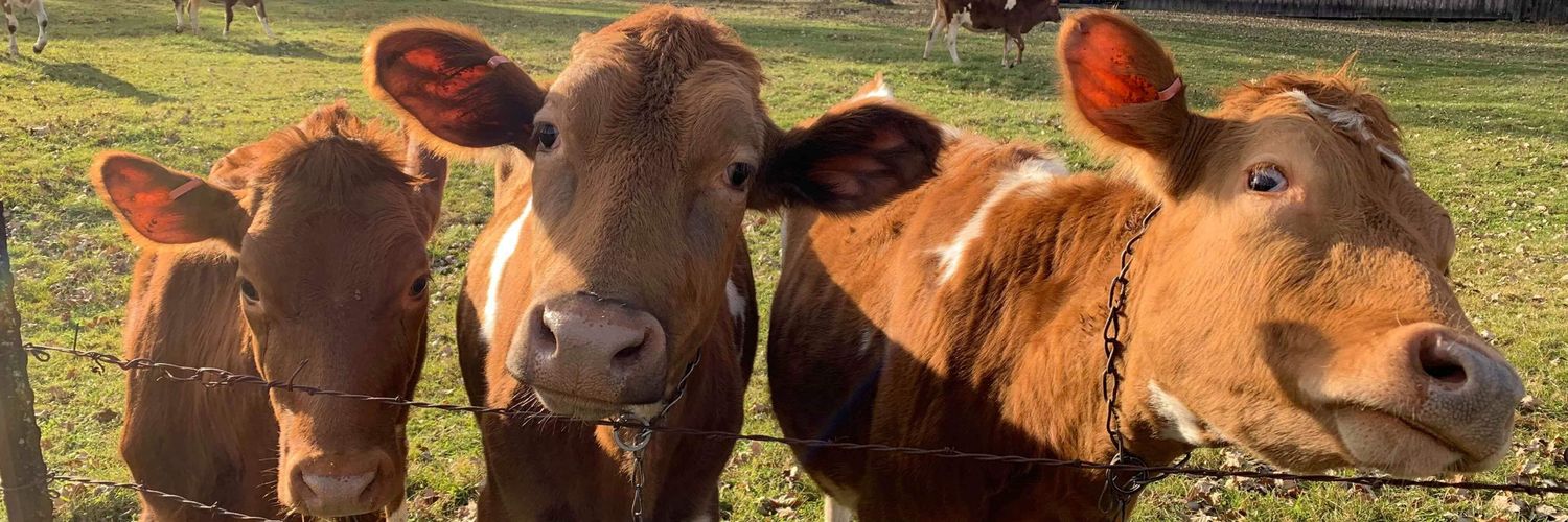 rileysmeats's profile banner image