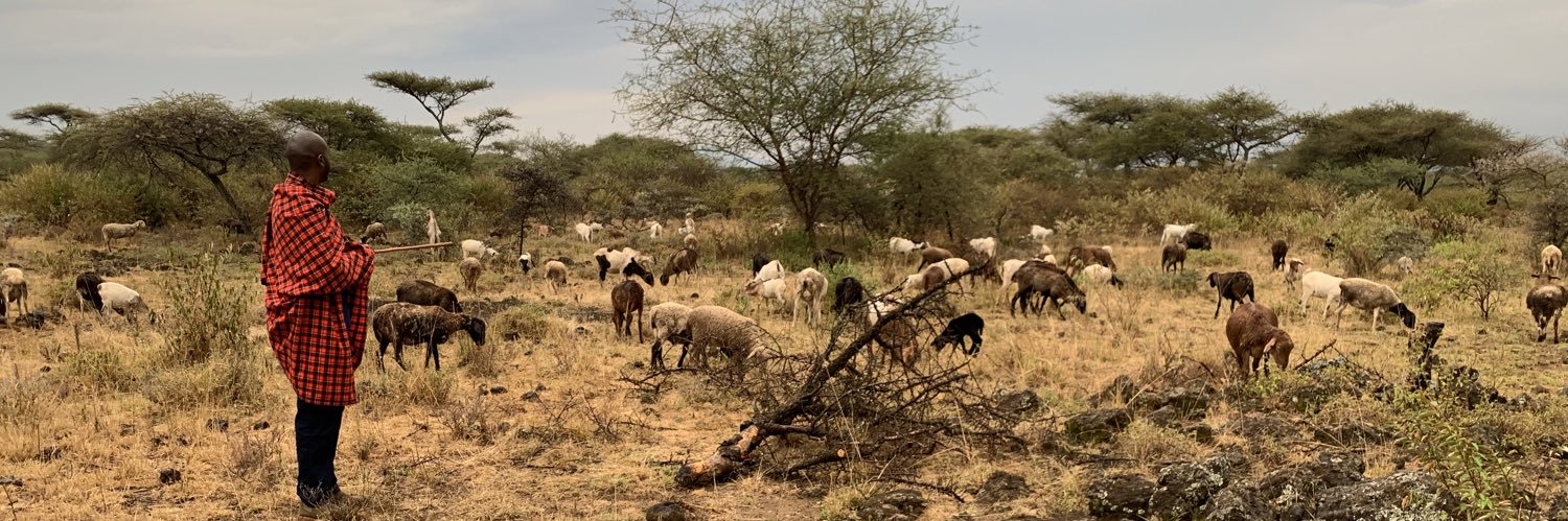 macharia_p's profile banner image