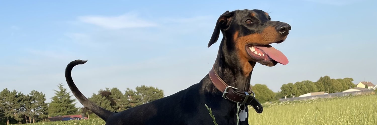 TKunof's profile banner image