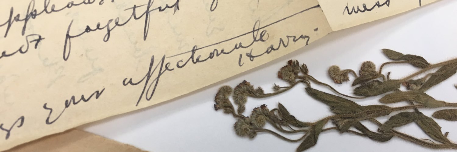 IC_Archives's profile banner image
