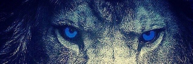 TheReason8's profile banner image