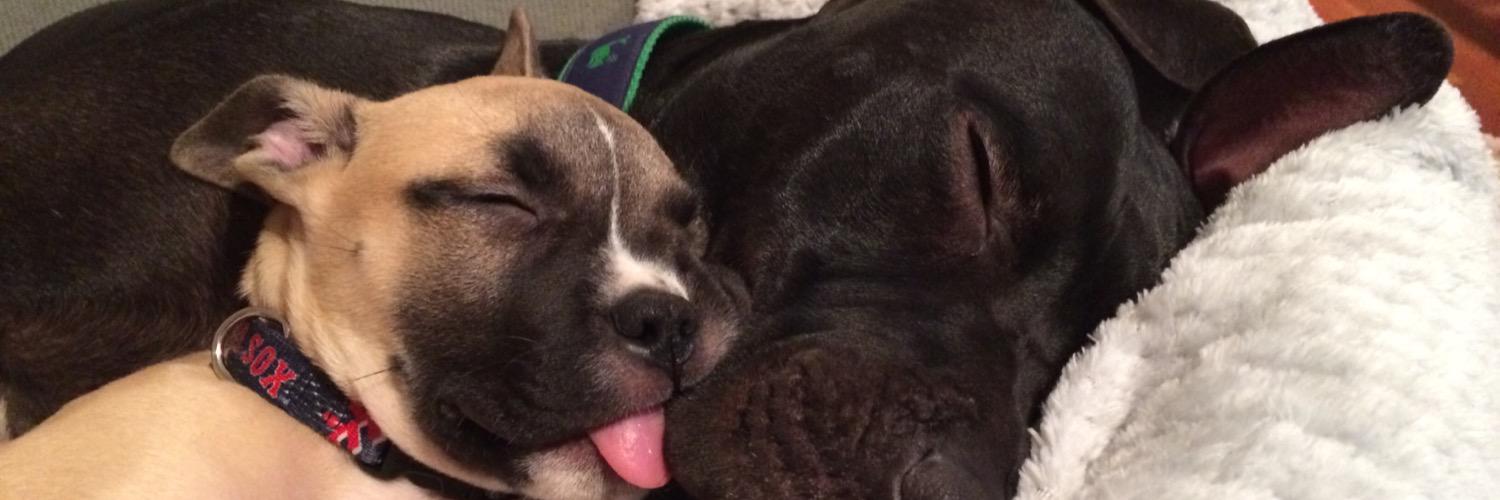 BubbasBullys's profile banner image