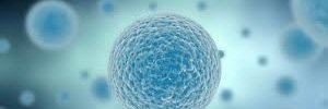 CellMembraneMVO's profile banner image