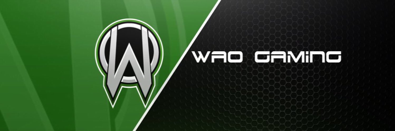 wAo_Gaming's profile banner image