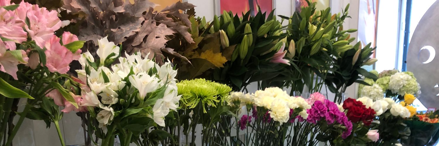 AnneFlorist's profile banner image
