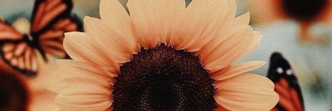 CosArrou's profile banner image