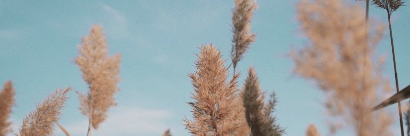 Dody__44's profile banner image