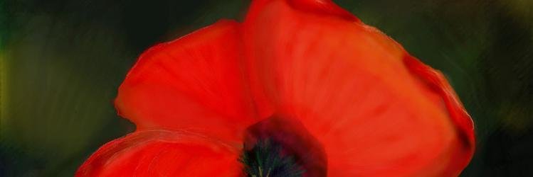 cmnotz's profile banner image
