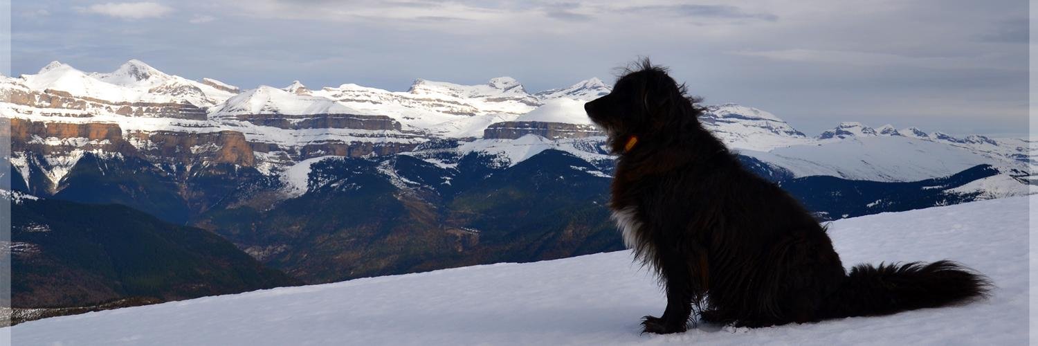 torla_ordesa's profile banner image