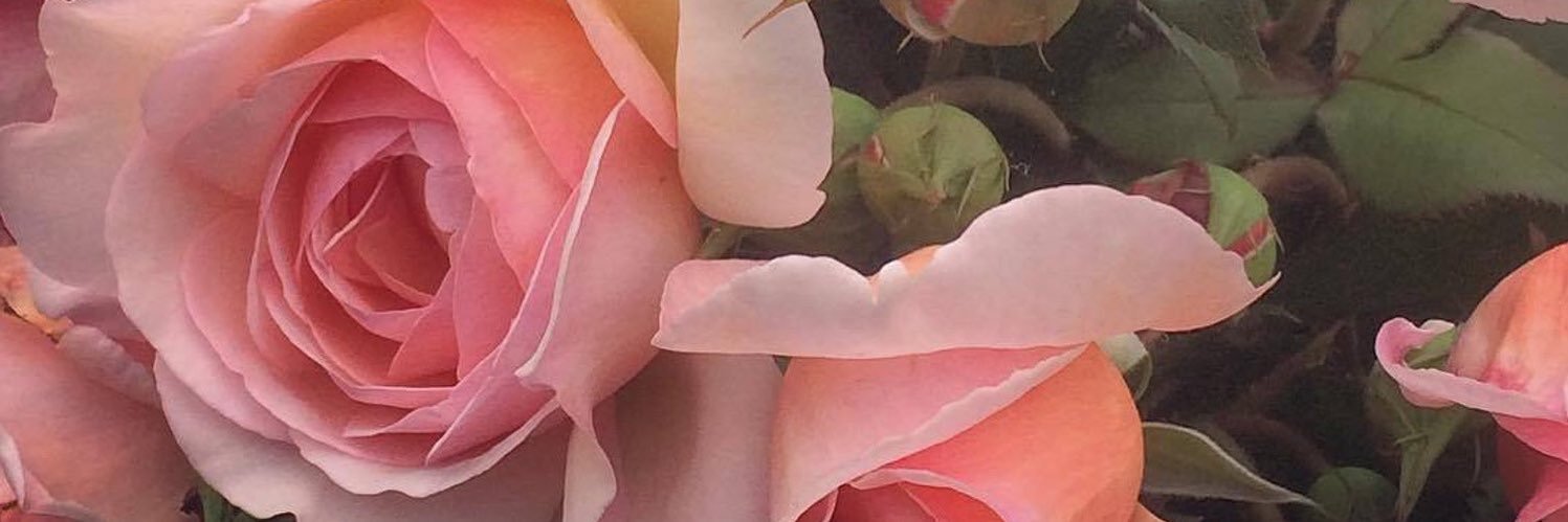 mapIesyrup's profile banner image