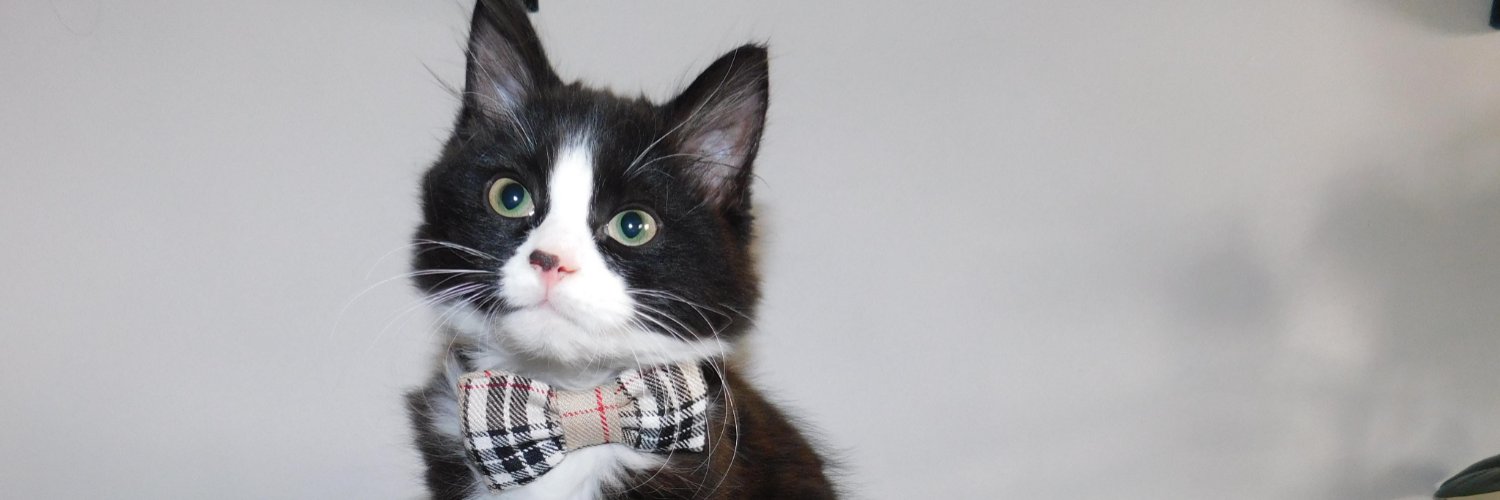 Martin Waterhouse banner