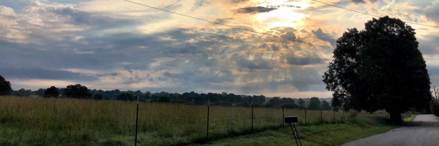 LFaust821's profile banner image
