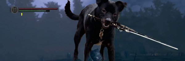 TaySpokes Profile Banner