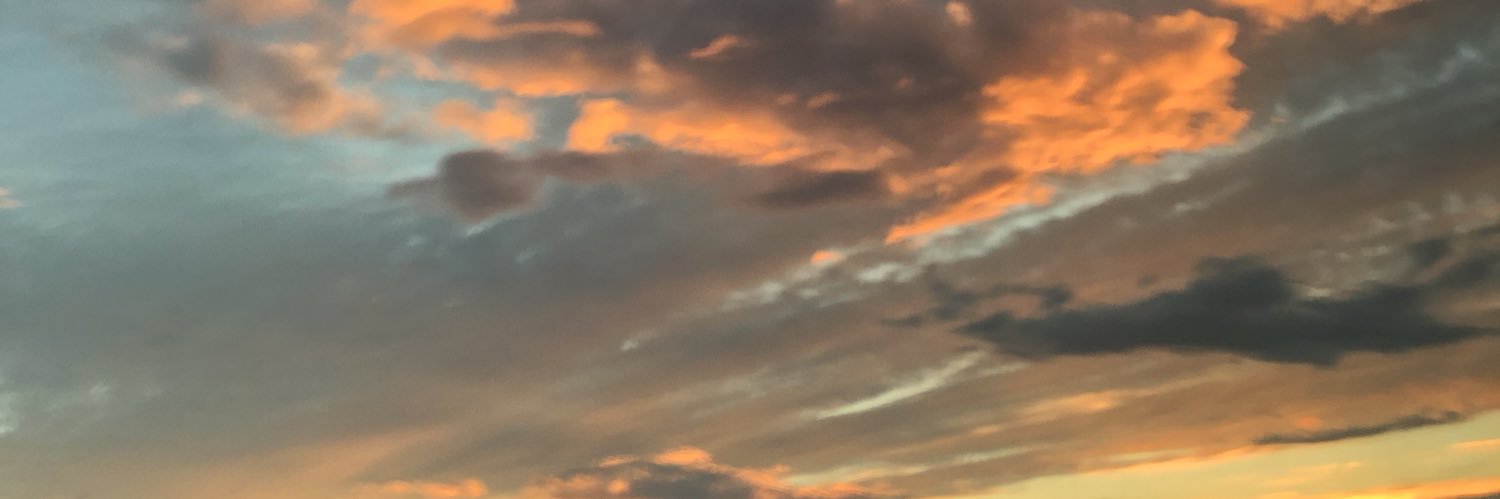 polinaaa____'s profile banner image