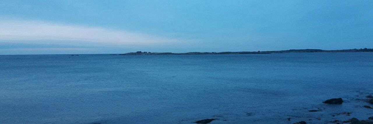 Pieter Poriau banner