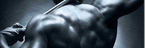 thebodytrophy's profile banner image