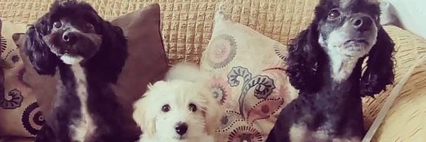 CamiVeg1 Profile Banner