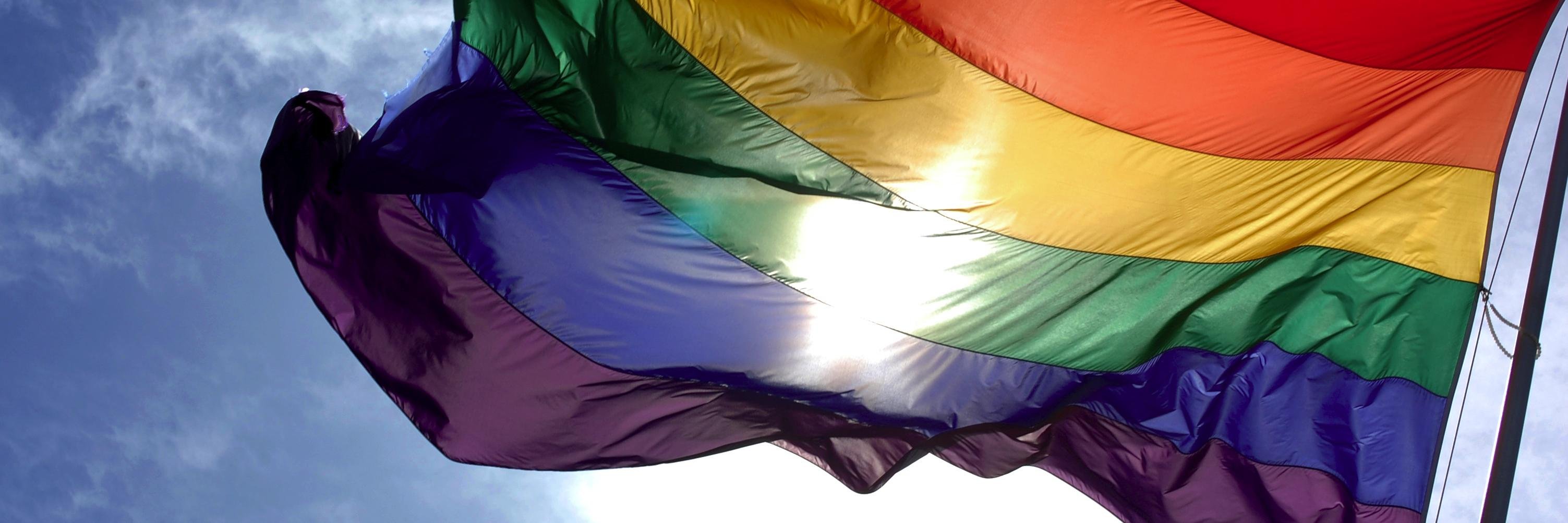 LBPPRIDE's profile banner image