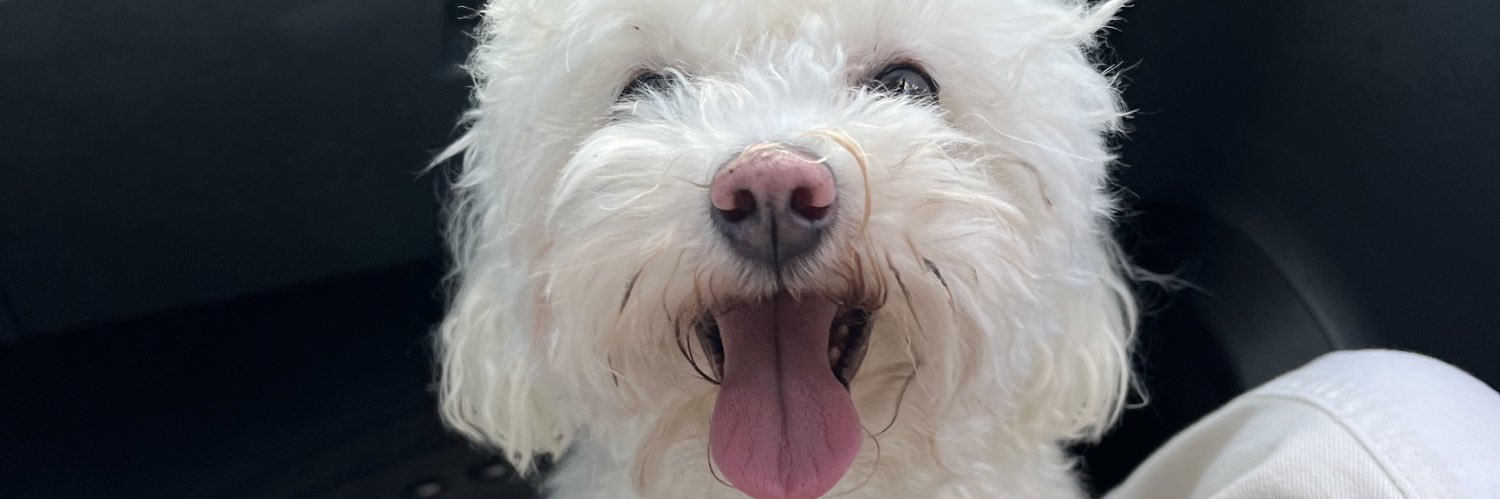 RomiiCrizul's profile banner image