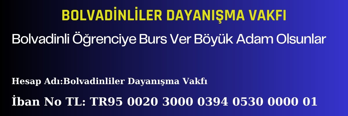 boldavankara's profile banner image