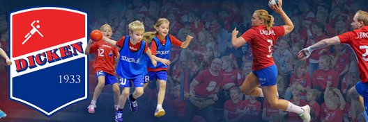 DickenHandball's profile banner image