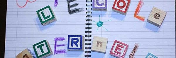 Dina Edelshtein banner