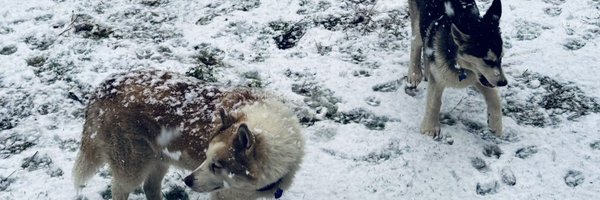 Angry_American0 Profile Banner