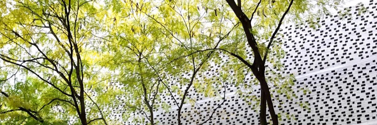 Jorge García banner