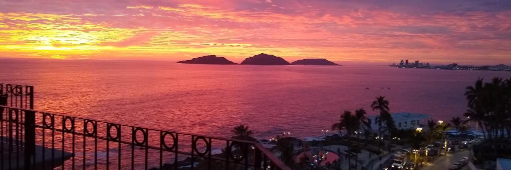 Ellen Buikema banner