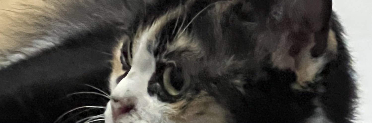 beaunim's profile banner image