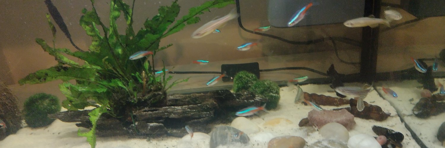 CommandJampot banner