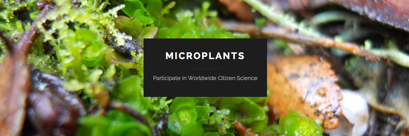MicroPlants's profile banner image