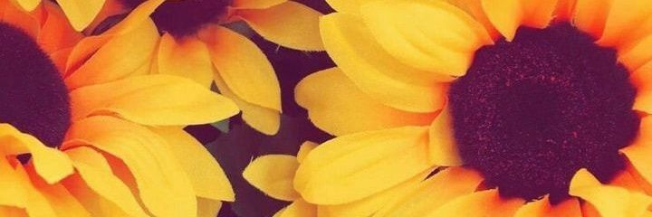 Cande_sVersion's profile banner image