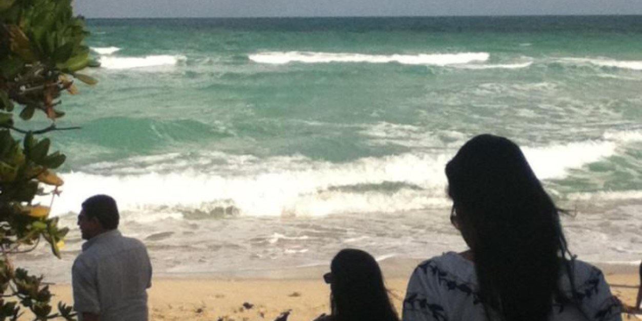 MariolaL19's profile banner image