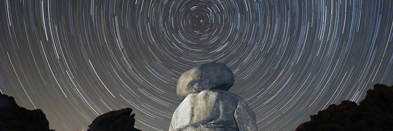 O Dosi (da casa dos Tarrazos) 🌰 🐷 banner