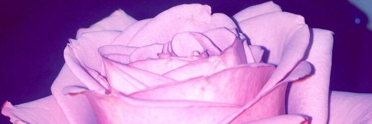 mel9919's profile banner image