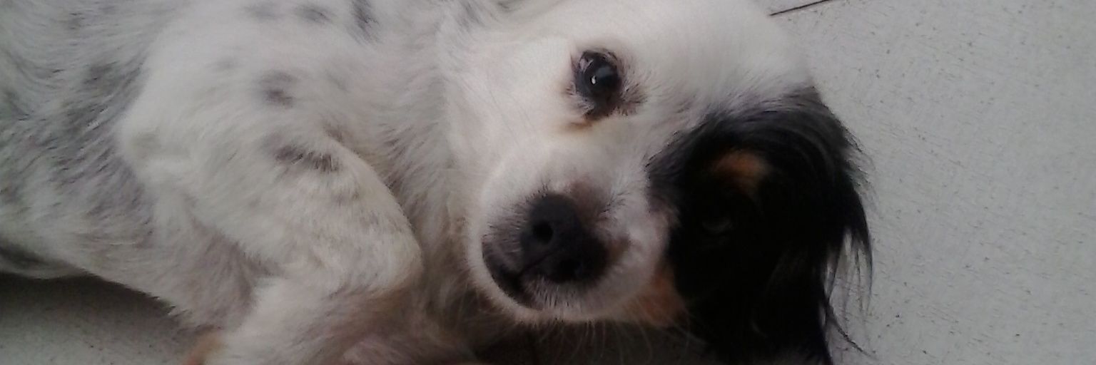 PascualRG's profile banner image