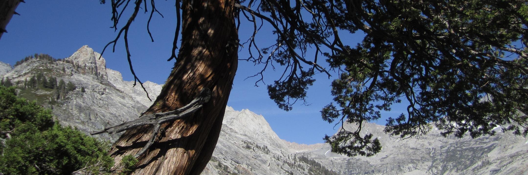 spatrickfarrell's profile banner image