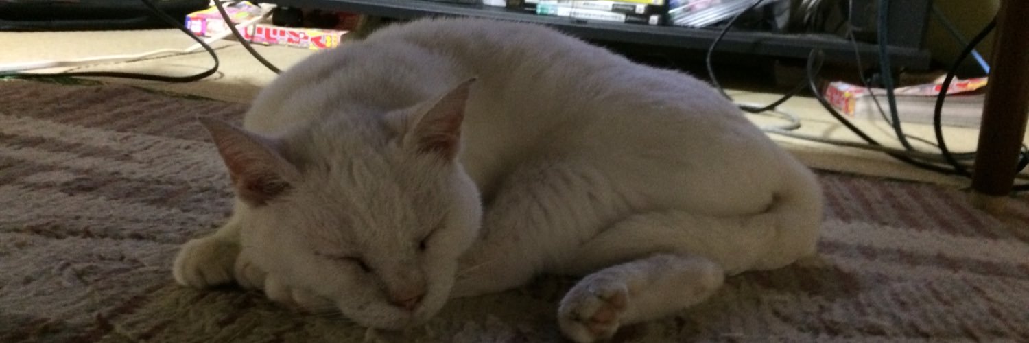 DS2_akkun's profile banner image