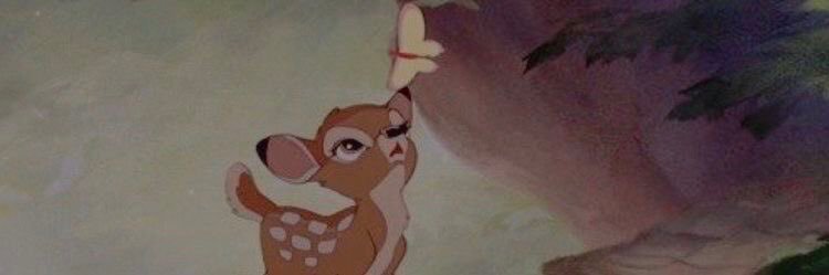 lil_lilo6's profile banner image