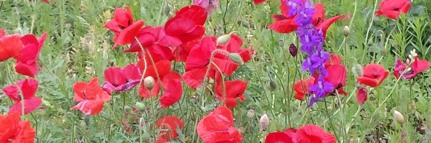 thebusynest's profile banner image