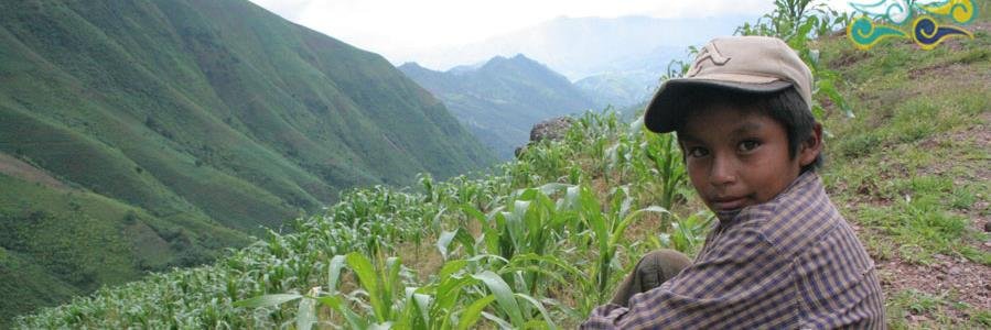 PartidoMilpero's profile banner image