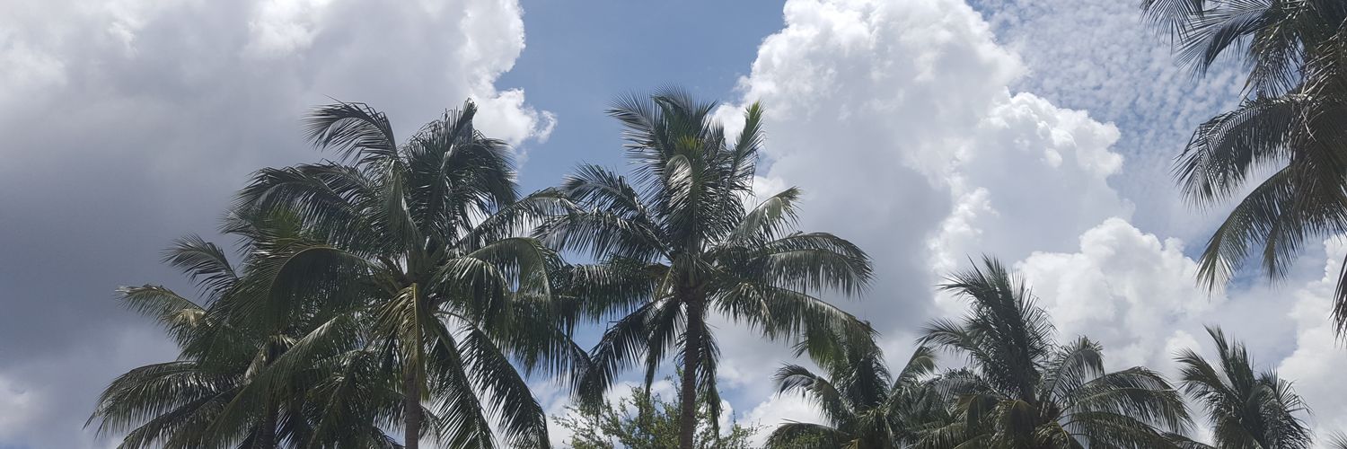 mdossiscool's profile banner image