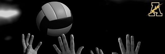 Andrew Girls Volleyball banner